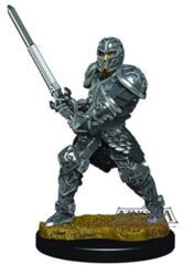 Dungeons & Dragons Fantasy Miniatures: Icons of the Realms Premium Figures W03 Human Male Fighter